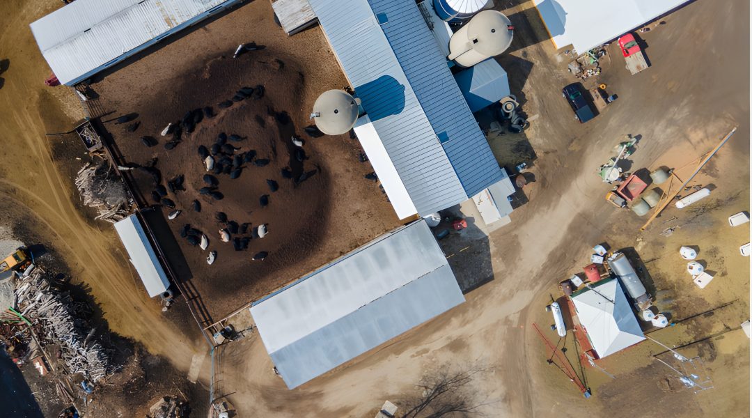 Hazard-Engineering-00.00-Blog