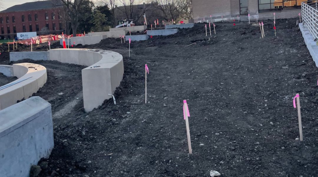 Hazard-Engineering-3.11-Blog